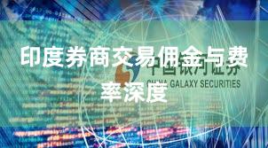 印度券商交易佣金与费率深度