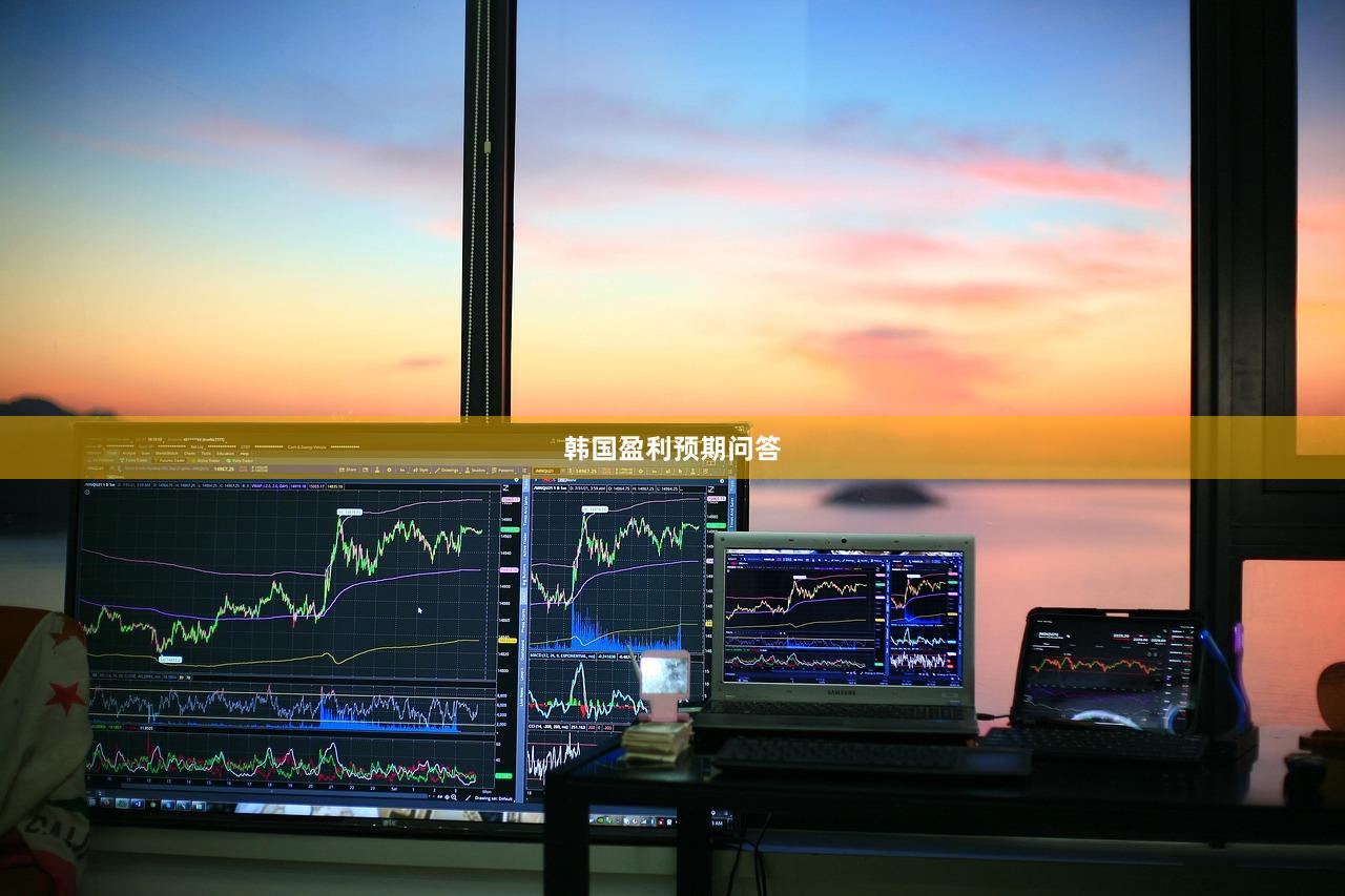 韩国盈利预期问答
