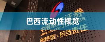 巴西流动性概览