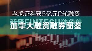 加拿大融资融券图鉴